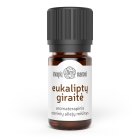 EUCALYPTUS GROVE essential oils blend