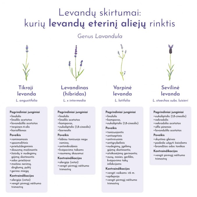 Levandų eterinis aliejus (tikrųjų)