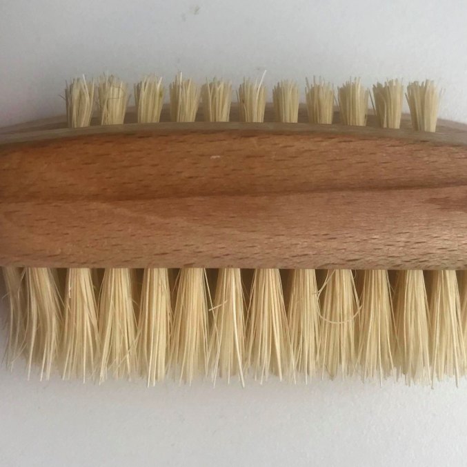 Natural Cactus Bristle Nail Brush