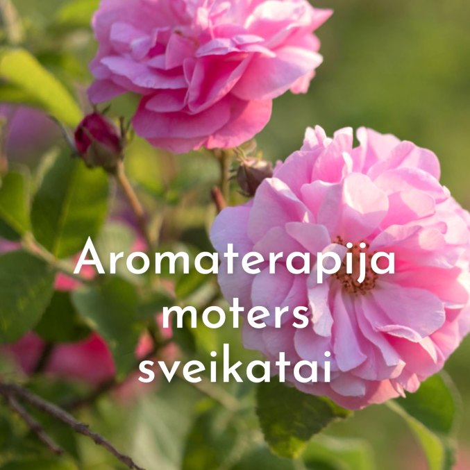Paskaita…
