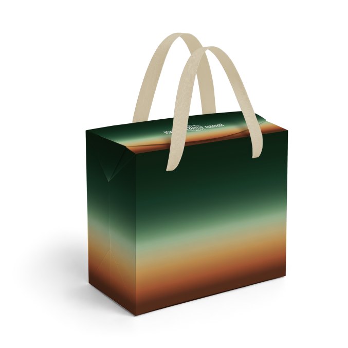 Paper bag or box