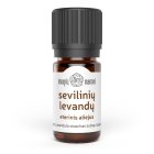 Lavender Essential Oil (Seville)