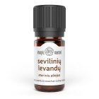 Seville Lavender, or Lavender Luisieri essential oil