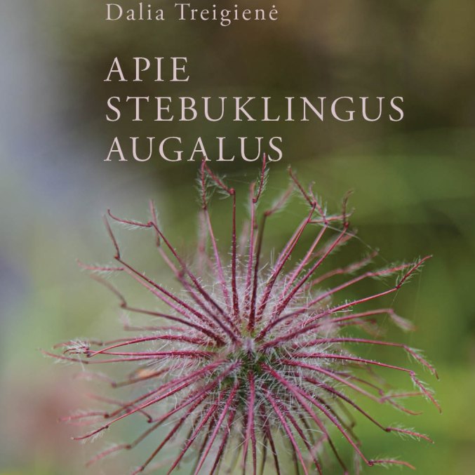 Book " Apie…