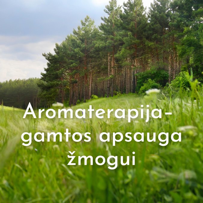 Įvadinė…
