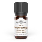 Burserų uogų eterinis aliejus (Linaloe Berry Oil)