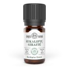 EUCALYPTUS GROVE essential oils blend