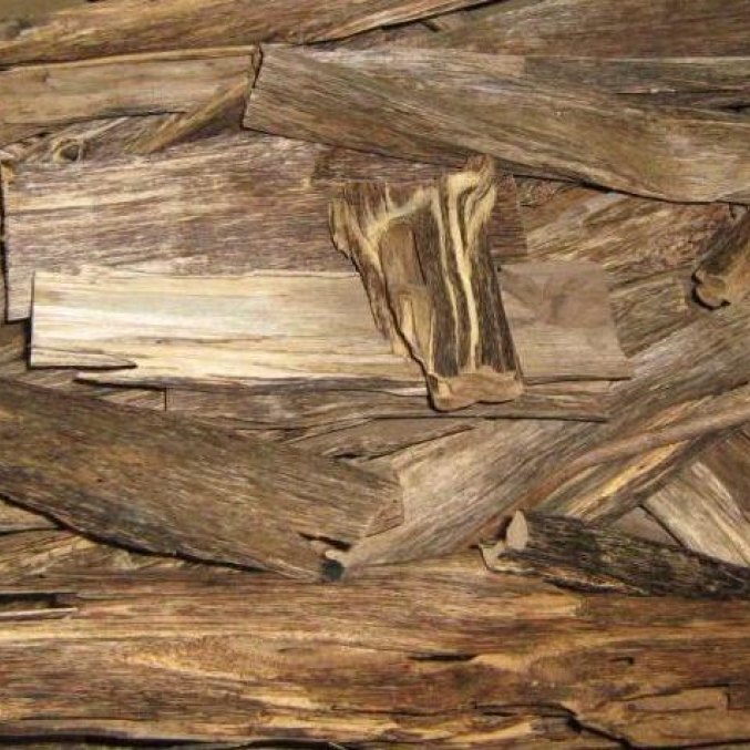 Agarwood essential oil