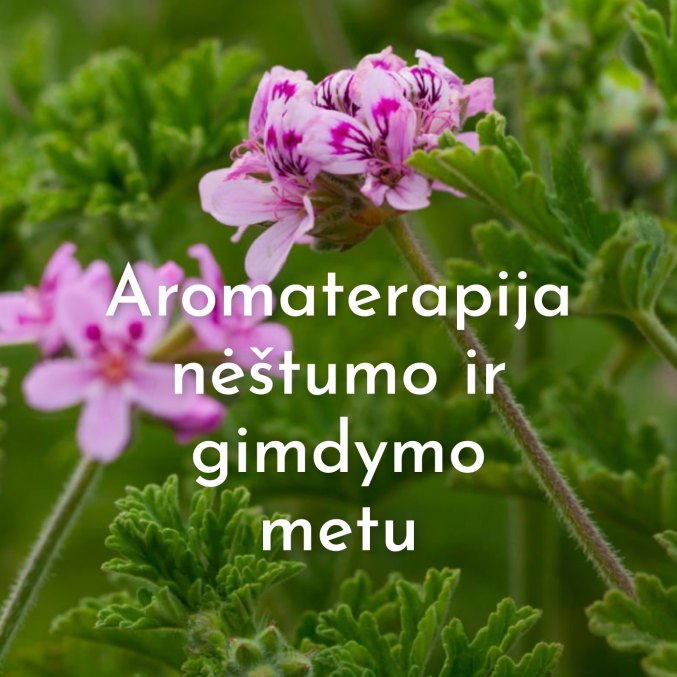 Paskaita:…