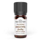 Maritime Pine Essential Oil