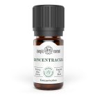 CONCENTRATION aromatherapeutic essential oils blend