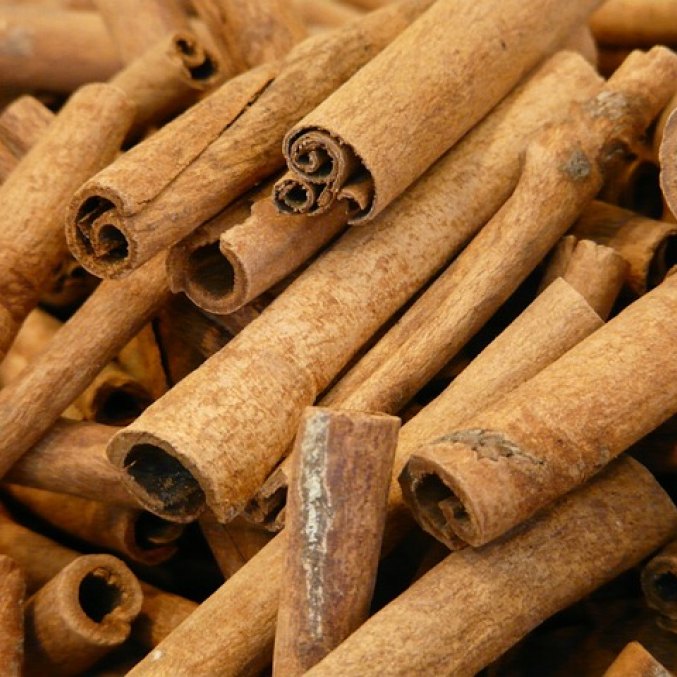 Cinnamon Cassia CO2 extract and essential oil