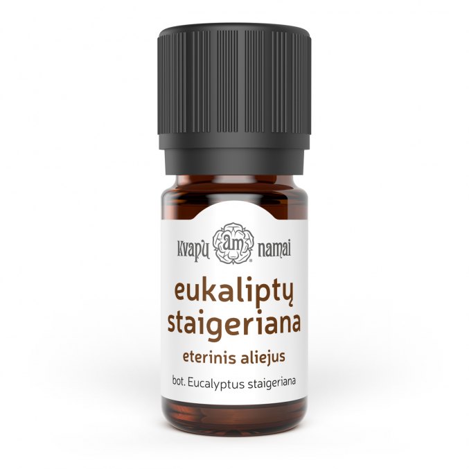 Eucalyptus staigeriana oil, Kvapu namai