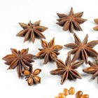 Star Anise Essential Oil (CO2 extraction)