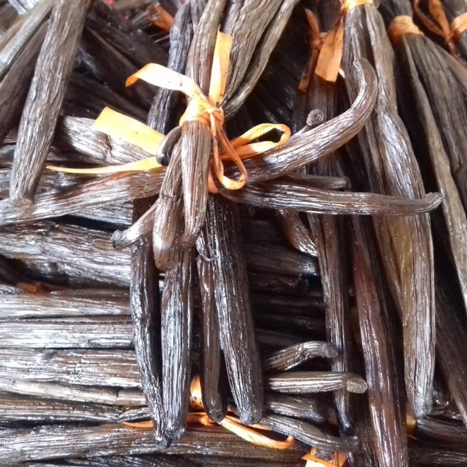 Vanilė - viena iš eterinių aliejų mišinio „Sapnų gaudyklė“ sudėtinių dalių