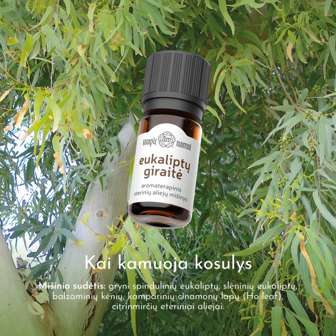 EUCALYPTUS GROVE essential oils blend