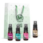 Experience kit FRAGRANCES FOR HOME 4x10ml