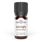 Douglas Pine Essential Oil