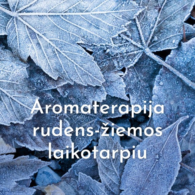 Paskaita…