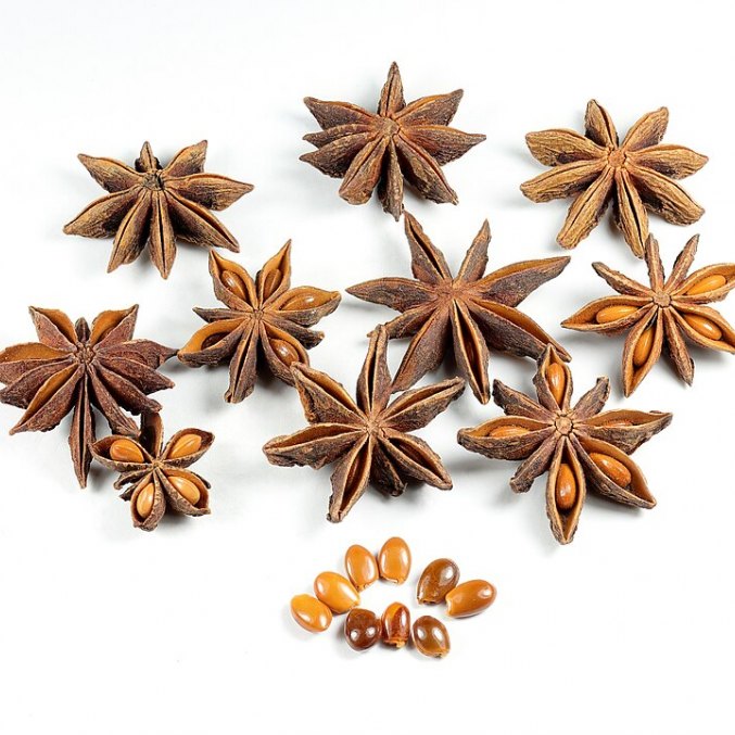 Star Anise Essential Oil (CO2 extraction)