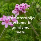 Paskaita: Aromaterapija nėštumo ir gimdymo metu (įrašas)