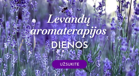 Levandų aromaterapija dienos